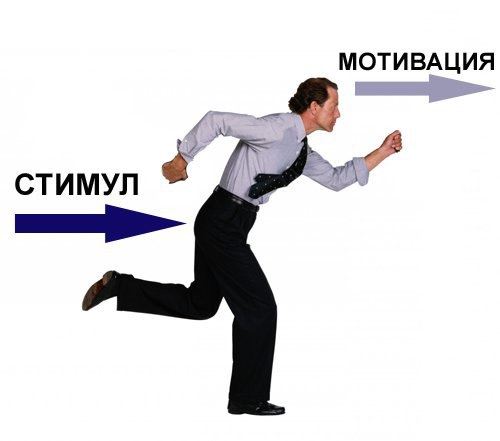 Сбалансированная система показателей и эффективность бизнес-процессов