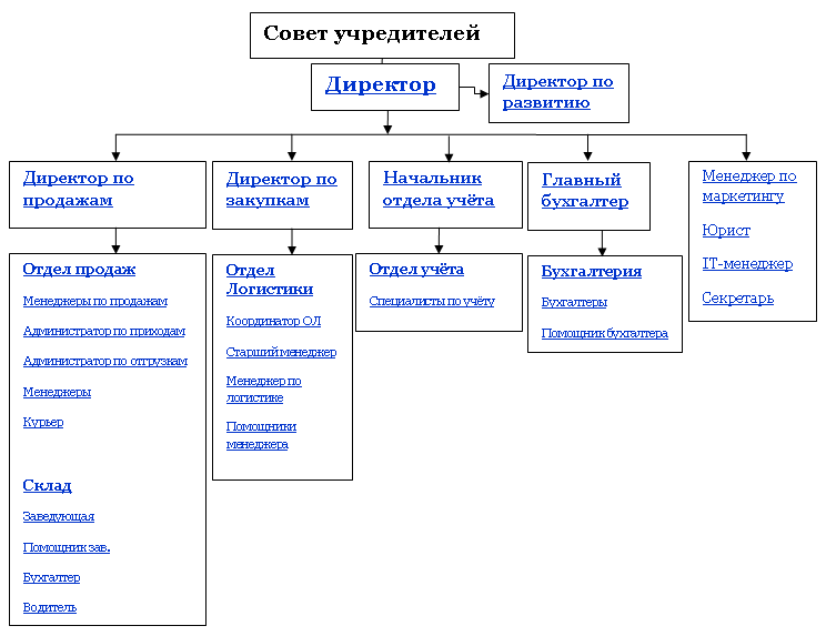 Организационная структура торговой компании